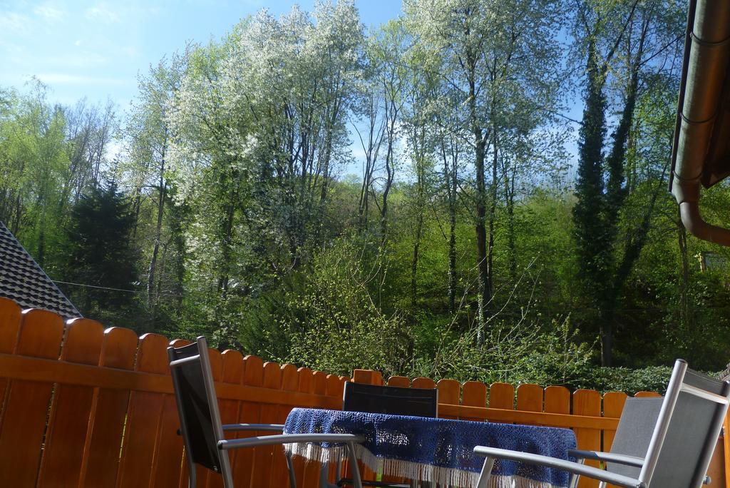 Appartement Schwarzwald Domizil Uhlsberg à Kippenheim Extérieur photo