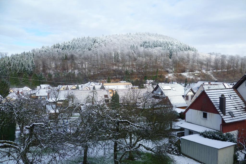Appartement Schwarzwald Domizil Uhlsberg à Kippenheim Extérieur photo