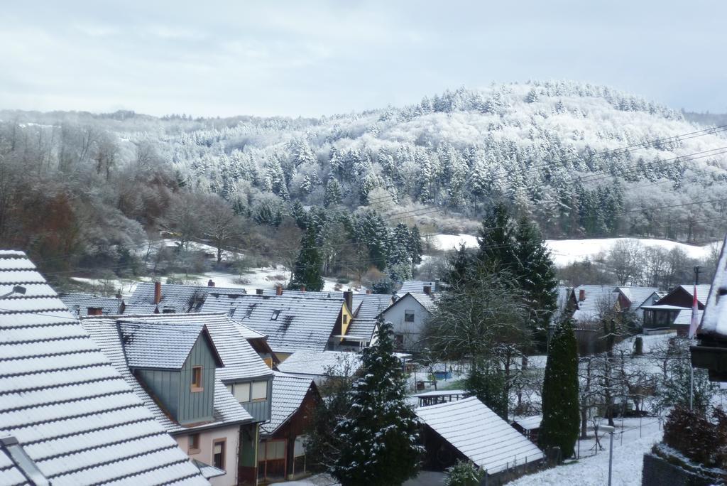 Appartement Schwarzwald Domizil Uhlsberg à Kippenheim Chambre photo