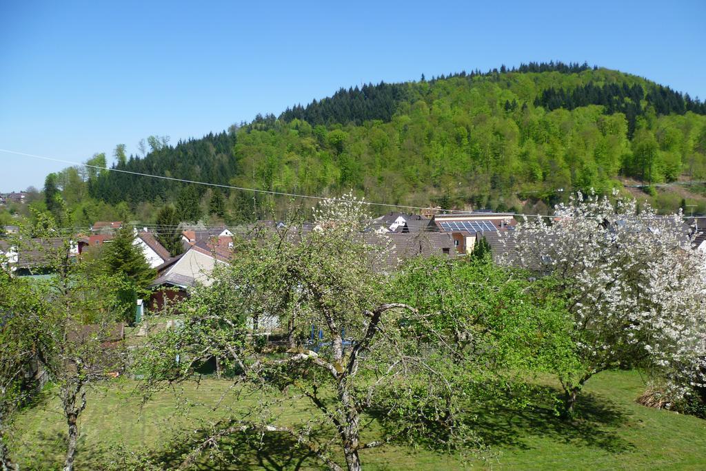 Appartement Schwarzwald Domizil Uhlsberg à Kippenheim Chambre photo