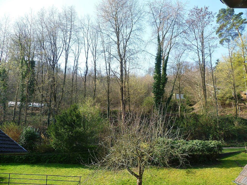 Appartement Schwarzwald Domizil Uhlsberg à Kippenheim Extérieur photo