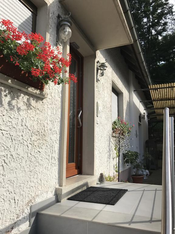 Appartement Schwarzwald Domizil Uhlsberg à Kippenheim Extérieur photo