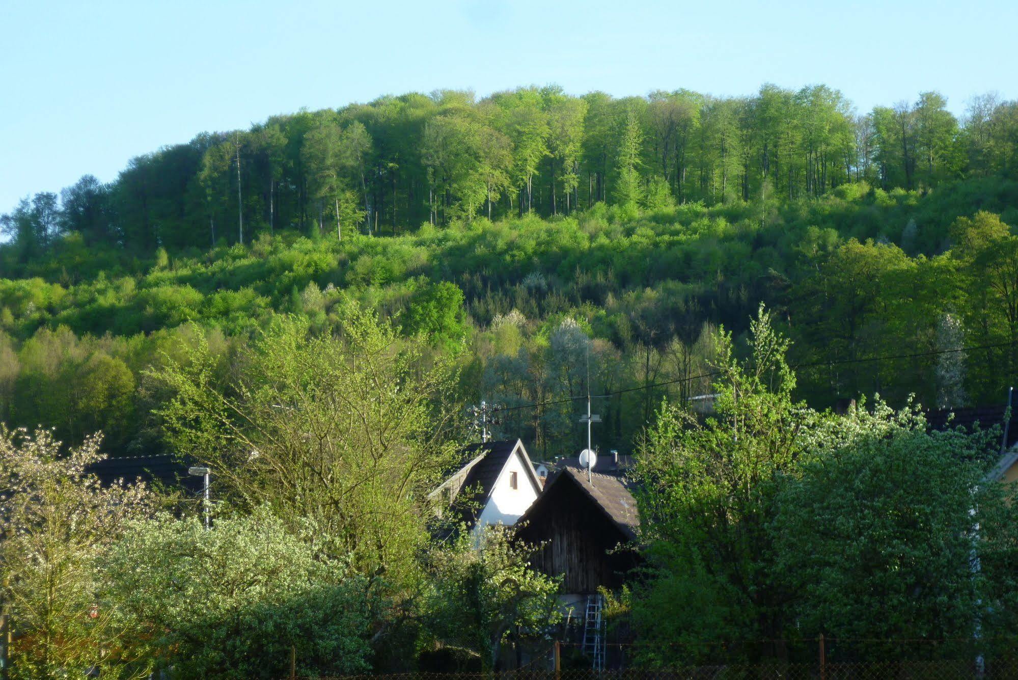Appartement Schwarzwald Domizil Uhlsberg à Kippenheim Extérieur photo